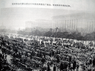 t01c155a3fb8d584929.gif